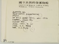 紅菇屬藏品圖，第2張
