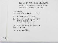 登錄號:F0000334藏品圖，第2張