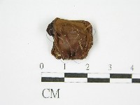 登錄號:F0000334藏品圖，第3張
