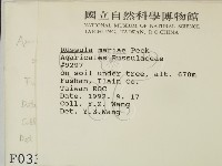 登錄號:F0000335藏品圖，第2張