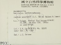 登錄號:F0000336藏品圖，第2張