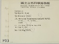 登錄號:F0000337藏品圖，第2張