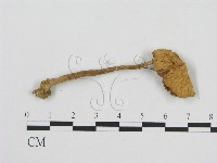 登錄號:F0000338藏品圖，第3張