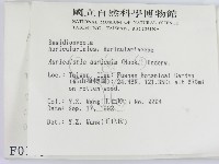 登錄號:F0000339藏品圖，第2張