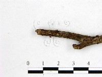 登錄號:F0000340藏品圖，第3張