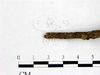 登錄號:F0000340藏品圖，第4張