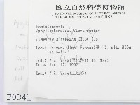 登錄號:F0000341藏品圖，第2張