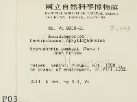冇骨消絲齒菌藏品圖，第2張