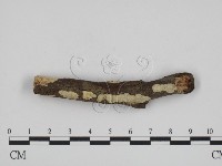 登錄號:F0000344藏品圖，第1張