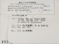 登錄號:F0000345藏品圖，第2張