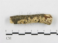登錄號:F0000345藏品圖，第1張