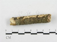 登錄號:F0000345藏品圖，第4張
