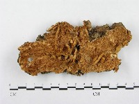 登錄號:F0000346藏品圖，第3張