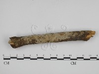 登錄號:F0000347藏品圖，第1張