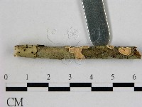登錄號:F0000348藏品圖，第3張