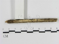 登錄號:F0000349藏品圖，第1張