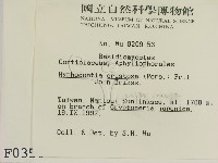 登錄號:F0000350藏品圖，第2張