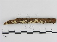 登錄號:F0000350藏品圖，第3張