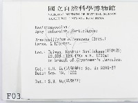 登錄號:F0000354藏品圖，第2張