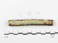 登錄號:F0000354藏品圖，第1張