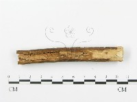 登錄號:F0000354藏品圖，第4張