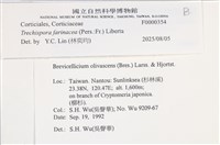 登錄號:F0000354藏品圖，第5張