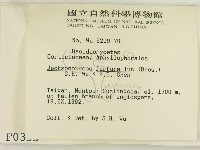 登錄號:F0000355藏品圖，第2張