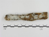 登錄號:F0000355藏品圖，第1張