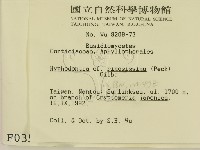 登錄號:F0000356藏品圖，第2張