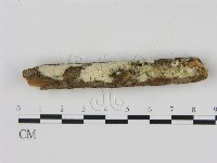 登錄號:F0000356藏品圖，第1張