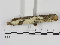 登錄號:F0000356藏品圖，第3張