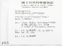 登錄號:F0000357藏品圖，第2張