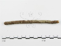 登錄號:F0000357藏品圖，第1張