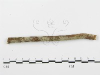 登錄號:F0000357藏品圖，第3張