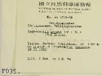 登錄號:F0000359藏品圖，第2張