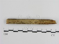 登錄號:F0000359藏品圖，第1張