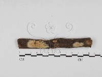 登錄號:F0000360藏品圖，第1張