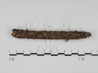 登錄號:F0000361藏品圖，第3張