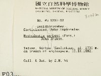 冇骨消絲齒菌藏品圖，第2張