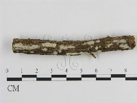 登錄號:F0000363藏品圖，第1張