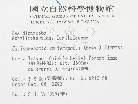 登錄號:F0000366藏品圖，第2張