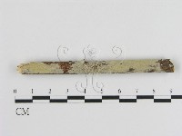 登錄號:F0000367藏品圖，第1張
