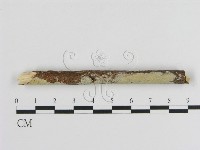 登錄號:F0000367藏品圖，第3張