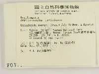 登錄號:F0000370藏品圖，第2張