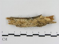 登錄號:F0000370藏品圖，第1張