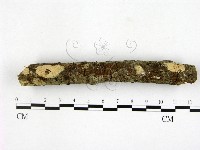 登錄號:F0000371藏品圖，第1張