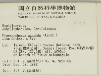 登錄號:F0000372藏品圖，第2張