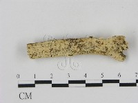登錄號:F0000373藏品圖，第1張