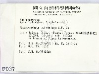 登錄號:F0000374藏品圖，第2張