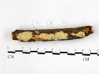 登錄號:F0000374藏品圖，第1張
